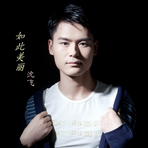 如此美丽 (Demo)