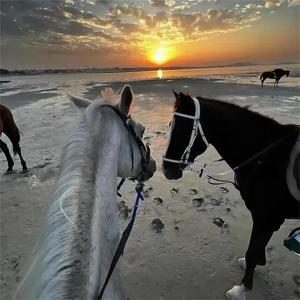 时间是一双眼睛 (氛围版)