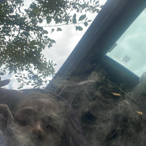 Oh Really ? (feat. DidarDollars, RacksDaReaper & Rackeaer) (Explicit)