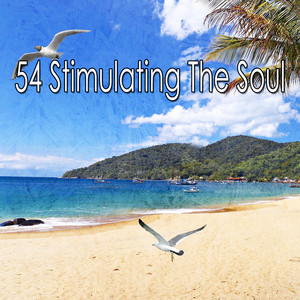 54 Stimulating The Soul