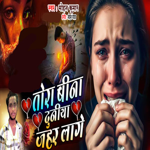 Tora Bin Duniya Biran Lage Raja Ho