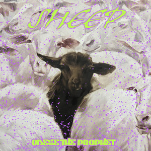 SHEEP (Explicit)
