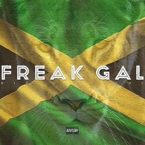 Freak Gal (Explicit)