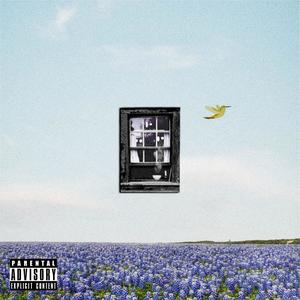 ventilation.(feat. N'Dambi) (Explicit)