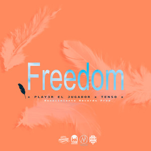 Freedom (feat. Tenso) [Explicit]