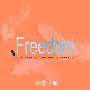 Freedom (Explicit)