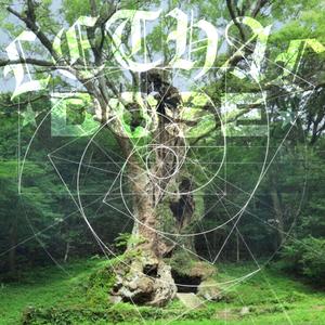 OrbsInTheForest (feat. Reverse Playback) (Explicit)