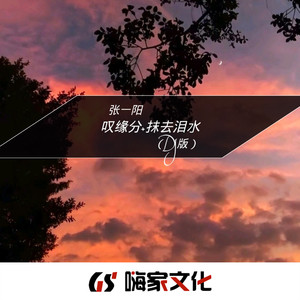 沉默是金 (DJ张一阳版)