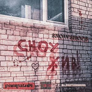 PAMYATNIK(Prod. by STEREODRUG) (Explicit)