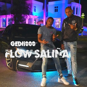 Flow Saliña (Explicit)