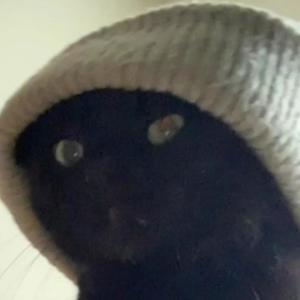 talk(feat. moodyriley) (Explicit)