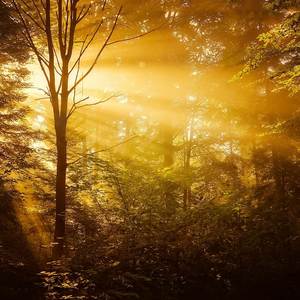 Sumerian Summers (Explicit)