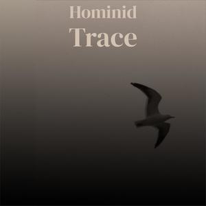 Hominid Trace