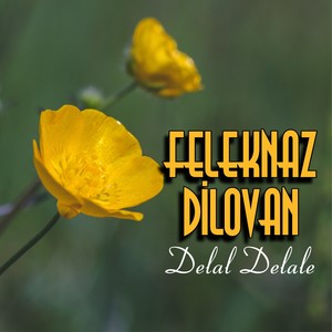 Delal Delale
