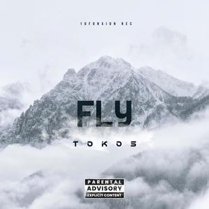 FLY (Explicit)