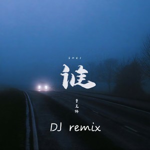 谁 (dj阿衡remix)封面