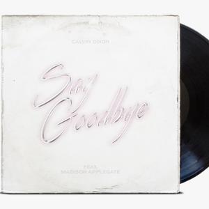 Say Goodbye(feat. Madison Applegate)