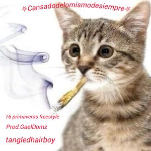 16 primaveras freestyle (feat. Gael Domm) (Explicit)
