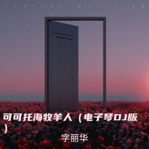 可可托海牧羊人 (remix: 喻然|纯音乐)封面