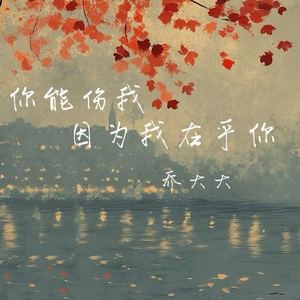 你能伤我因为我在乎你