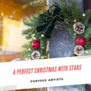 A Perfect Christmas with Stars