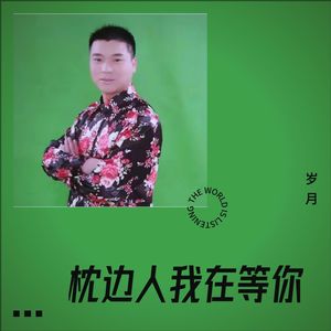 枕边人我在等你封面