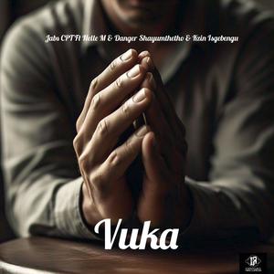 Vuka (feat. Nelle M & Danger Shayumthetho & Kzin Isgebengu)