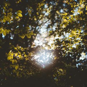 Where I Can't Find You (Slowed)