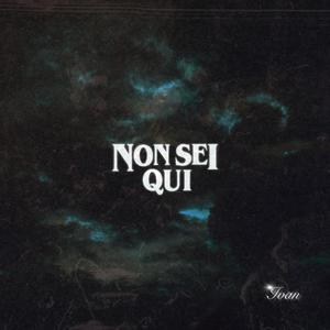 NON SEI QUI