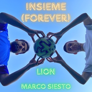 Insieme (Forever)