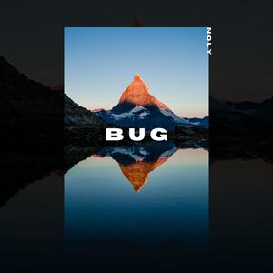 bug