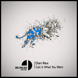 Call It What You Want (Original Mix)