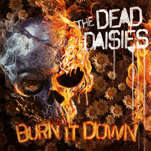 Burn It Down (Explicit)