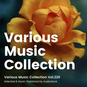 Various Music Collection Vol.220 -Selected & Music-Published by Audiostock-