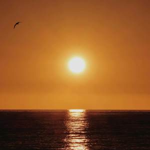 Paradise Valley (Explicit)