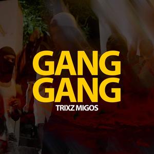 Gang Gang (Explicit)