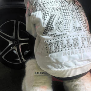 Rave Bissh (Explicit)