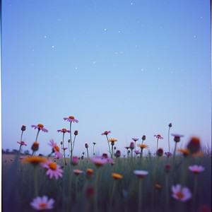 ELLA AURORA - Whispers In The Night