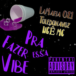 Pra Fazer Essa Vibe (Explicit)