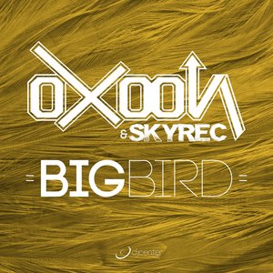 BigBird