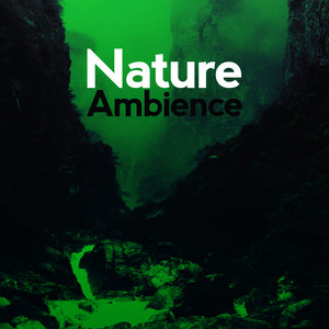 Nature Ambience - Weekend Wake up Call