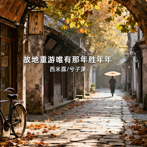 故地重游唯有那年胜年年