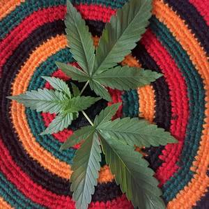 DNT WORRY (Explicit)