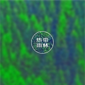 热带雨林 男声吉他