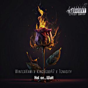 Hol on...Wait (feat. Tenasity & Winterxami) (Explicit)