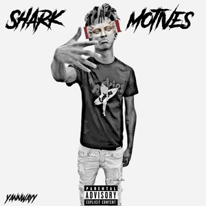 SharkMotives (Explicit)