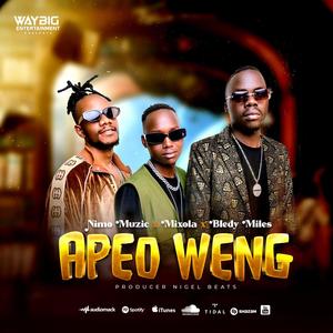 Apeo Weng (feat. Nimo Muzic, Mixola & Bledy Miles)