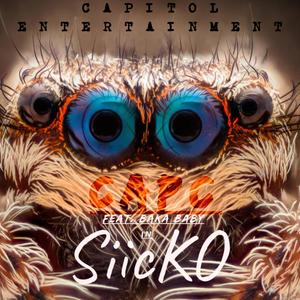 Siicko(feat. Baka Baby) (Explicit)