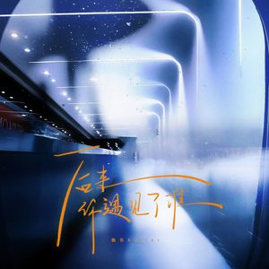 后来你遇见了谁