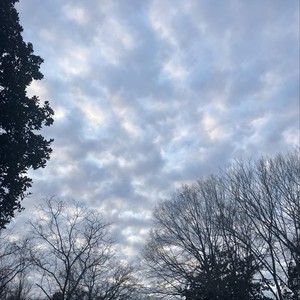 Gotta Go (feat. Bl1nx) (Explicit)